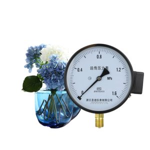 Remote Pressure Gauge YTZ150 (0-1.6 MPa, 1.6 Accuracy Class, Radial Thread Connection) for Water Hydraulic Air Pressure Systems