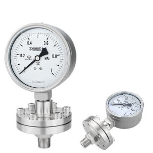 Stainless Steel Diaphragm Pressure Gauge YTP100BF (0-1 MPa) for Water Gas Oil Replaces YTP100BF