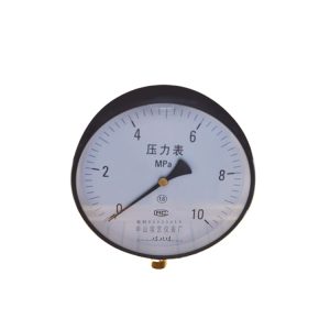 Radial Pressure Gauge Direct Plug-in Air Pressure Meter (Y200, 0-10MPa, M20*1.5) for Industrial HVAC Systems