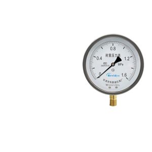 Breidys YN150 Seismic Pressure Gauge (1.6 MPa) for HVAC Systems