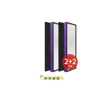 HEPA Carbon Air Purifier Filter Replacement (2+2 Pack) for Germ Guardian FLT5250PT C