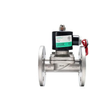 ELECALL Flanged Stainless Steel Solenoid Valve (304 Body, Full Copper Coil) for Water Oil Air