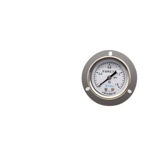 Breidys YNBF50ZT Stainless Steel Pressure Gauge 50mm Axial with Edge Shock Resistant 1.6MPa for Oil, Hydraulic, Air, Water Pressure