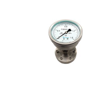 Axial Threaded Diaphragm Pressure Gauge YTP100Z-ML (Stainless Steel, 100mm, 1.6 Accuracy) for Corrosive & Acidic Environments