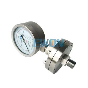 Durable Diaphragm Pressure Gauge Y-100BFZ/ML with 316L Diaphragm and 0-1.6 MPa Range, Stainless Steel for Industrial Applications
