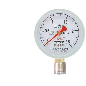 Hongqi Y-60 Pressure Gauge Water Pressure Vacuum Negative Pressure Meter for HVAC Firefighting Tire Pressure