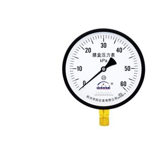 Huake Yongyi YE150 Radial Diaphragm Pressure Gauge 0-60kPa for Water Oil Gas HVAC Systems, Replaces 230825931