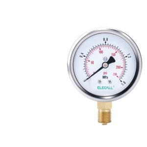 ELECALL EYT-60 Stainless Steel Case Pressure Gauge (0-1.6MPa, 60mm Diameter) with Balance Hole for Water Oil Gas Measurement