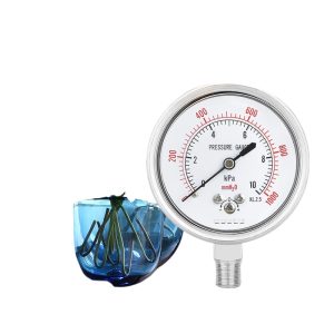 Stainless Steel Diaphragm Pressure Gauge YE60BF Micro Pressure Meter with Zero Adjustment (0-1000KPa, KL2.5, ZG1/4 M14*1.5)