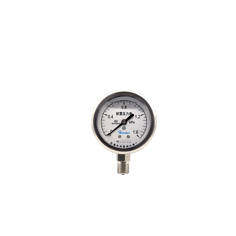 Breidys YN60 Stainless Steel Pressure Gauge 0-1.6MPa For Water, Air, Oil Pressure Systems - Image 2