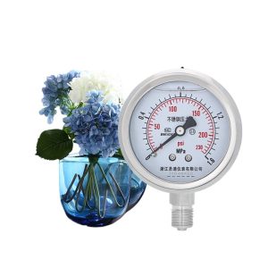 YZN60BF Stainless Steel Pressure Gauge (0-1.6MPa, 60mm Dial, G1/4 Thread) for HVAC Systems
