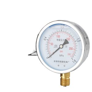 Durable Pressure Gauge YN100 Series (M20*1.5 Thread, 0-0.1 to 0-60 MPa Range, 1.6 Accuracy) for Hydraulic, Water, Air Systems, HVAC Replacement Part