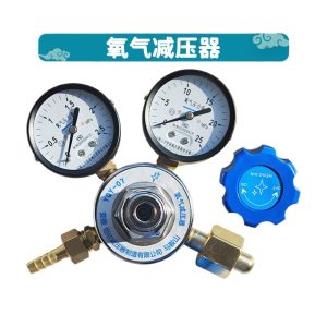 Oxygen Pressure Reducer YQY-07 (0-2.5 MPa, 0-25 MPa) for Oxygen Cylinders, Two-Gauge Design, Stable Output, Replaces YQY-06/YQY-08