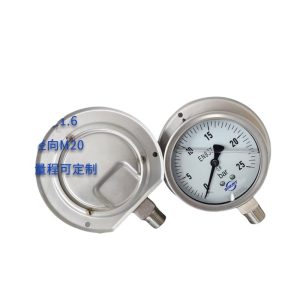 SYMINT Pressure Gauge EN837-1 (100mm, M20 Radial Connection, 1.6 Accuracy) for Fluid, Oil, Gas, Water Pressure Systems