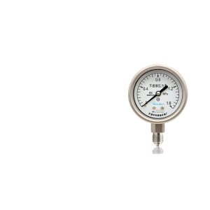 Breidys YNBF60 Stainless Steel Pressure Gauge (0-1.6 MPa, 1.6 Accuracy) for Water, Air, Hydraulic Systems