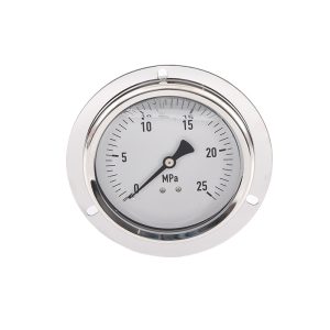 Y100L-BD Seismic Pressure Gauge 0-25 MPa Diameter 100mm with M20*1.5 Connection for Water/Oil Pressure and Vacuum Systems
