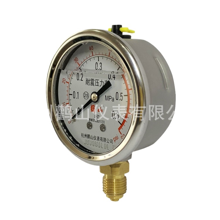 Analog Pressure Gauge YN63 Oil-Filled Shock Resistant Radial Connection (0-0.6MPa/0-90psi) for General Industrial Applications - Image 2