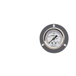 YNBF40ZT Stainless Steel Pressure Gauge (0-1.6MPa, 40mm Dial, Axial Connection) for Pneumatic Hydraulic Systems