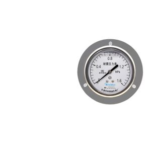 Breidys YN75ZT Pressure Gauge (0-1.6MPa, 75mm Diameter) for Marine, Water, Air Systems, Shock Resistant