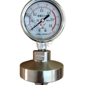 Durable Diaphragm Pressure Gauge YN63BF/ML/F4 (0-0.6 MPa, 2.5 Accuracy) for Corrosive Media, Replaces YN100BFL series