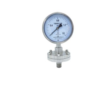 Stainless Steel Diaphragm Pressure Gauge YTP100BF 0-6MPa Flange Connection DN25-DN50 316L PTFE Lined for HVAC Systems