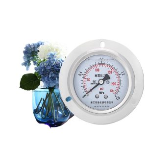 YN60ZT Oil-Filled Shock-Resistant Flange Back-Mount Pressure Gauge M14*1.5 Axial 60mm Diameter for HVAC Systems