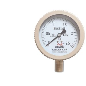 Hongqi YE-100 Diaphragm Pressure Gauge for Natural Gas Pipeline Measurement (0-100KPa, 100MM Dial)