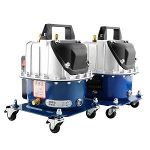 Automotive AC Vacuum Pump with Dual Function (D919L/1090) for AC Maintenance/Service, 220V/50HZ, 300W/380W