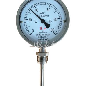 Bi-metallic Temperature Gauge WSS411P (0-100℃, 100mm Dial, 1.5 Accuracy, SS304) for Industrial HVAC