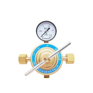 HEGNXIN HX-YY-56 Dual-Stage Oxygen Pressure Reducer (2.5 MPa, 100 L/min) for Large Flow Oxygen Pipelines